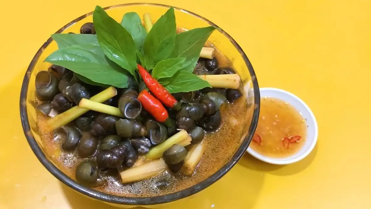 Cách làm 3 cách làm ốc đắng hấp sả đơn giản thơm ngon hấp dẫn ai cũng mê Hình ảnh món 3 cách làm ốc đắng hấp sả đơn giản thơm ngon hấp dẫn ai cũng mê - Công thức nấu ăn chi tiết