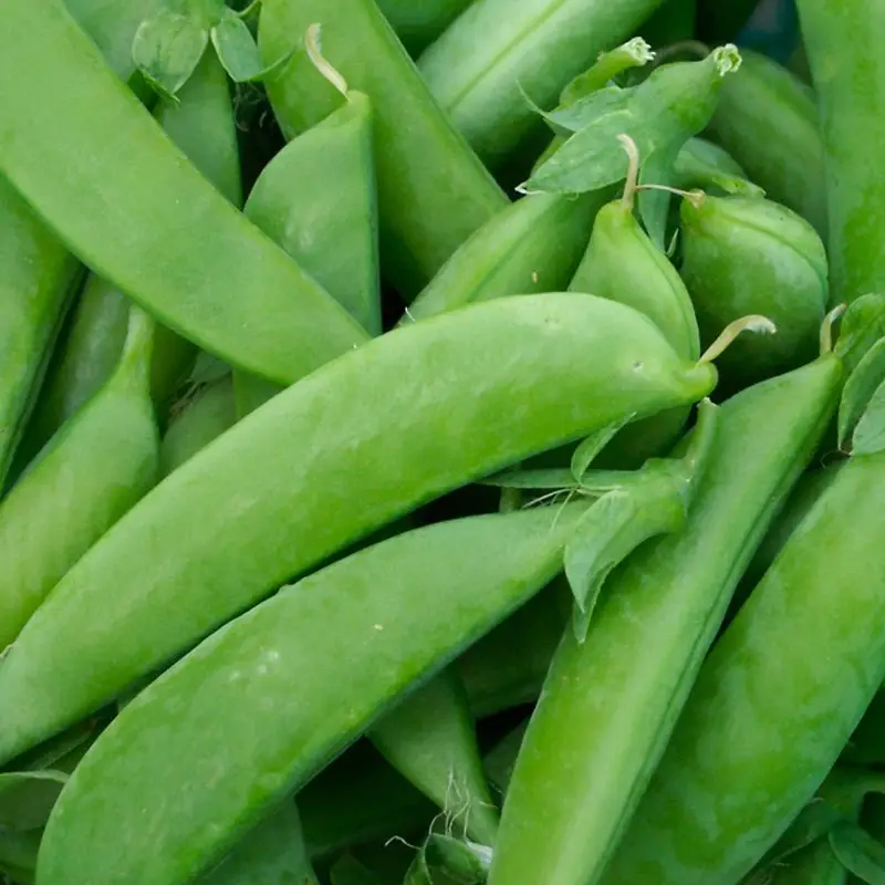 Bước 2 - Hình 2
