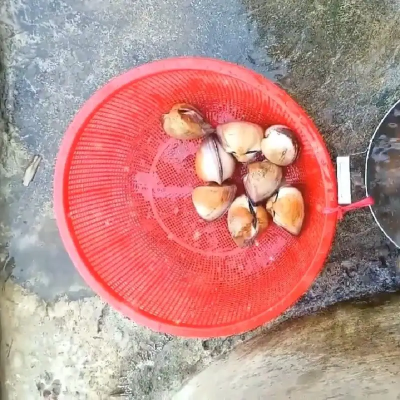 Bước 1 - Hình 1