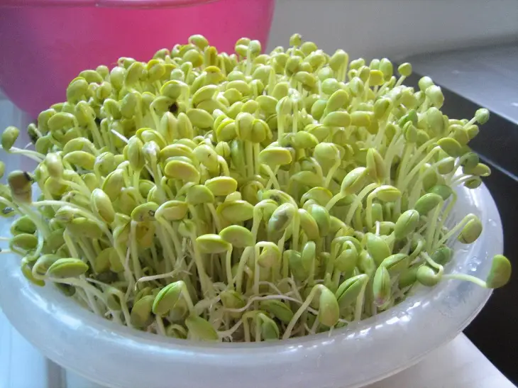 Bước 2 - Hình 1