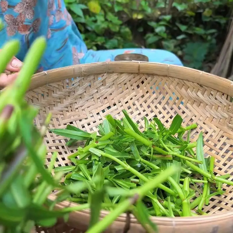 Bước 2 - Hình 1