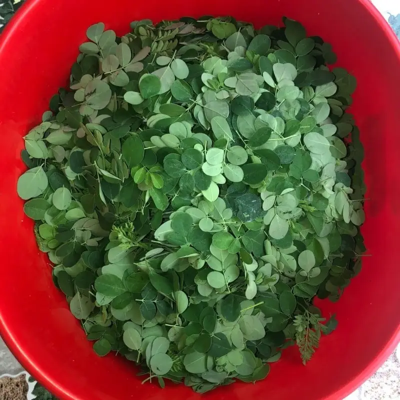 Bước 1 - Hình 1