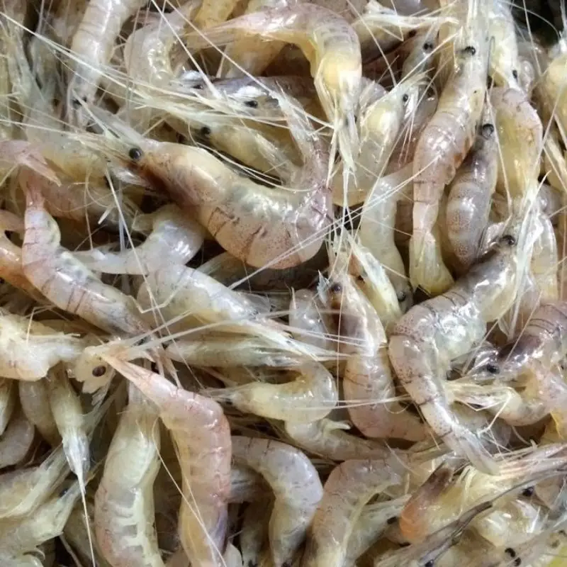 Bước 1 - Hình 2