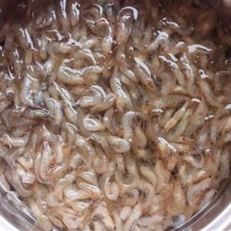 Bước 1 - Hình 1