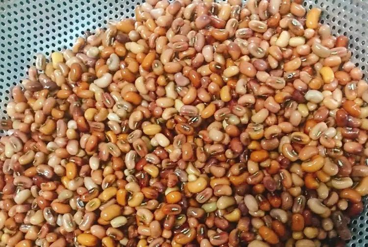Bước 1 - Hình 1