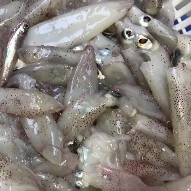 Bước 1 - Hình 1