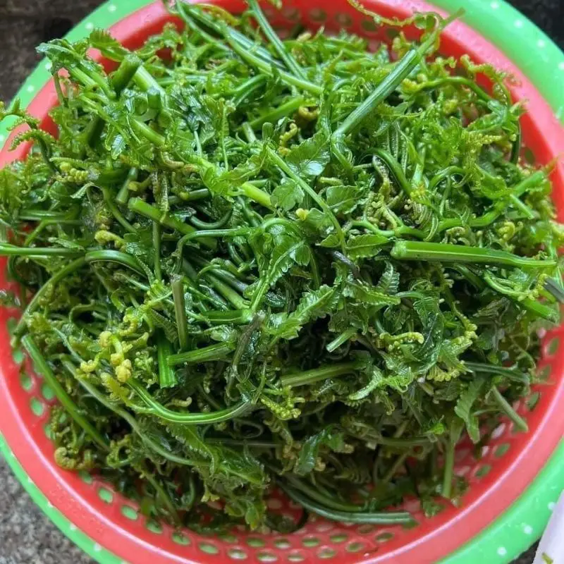 Bước 1 - Hình 1