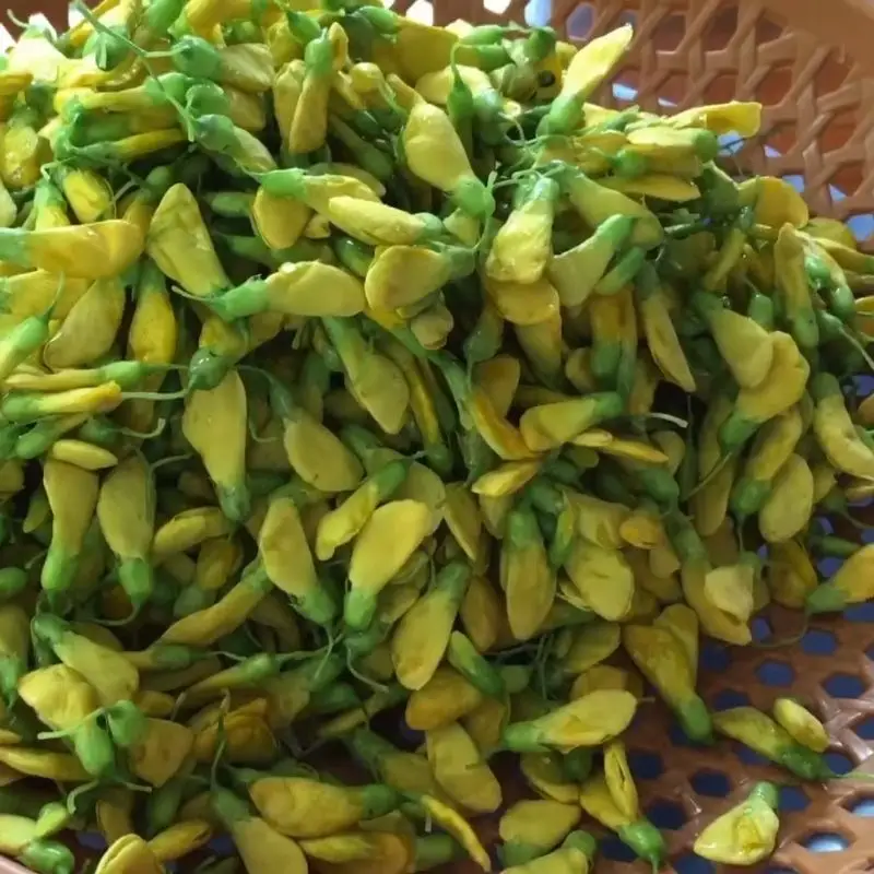 Bước 1 - Hình 3