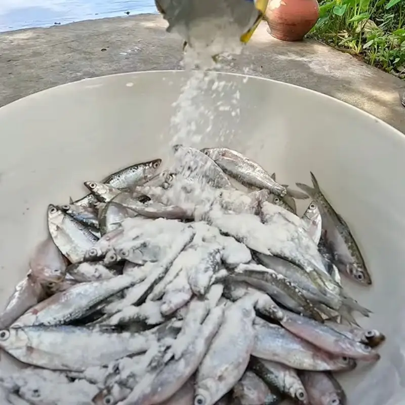Bước 1 - Hình 3