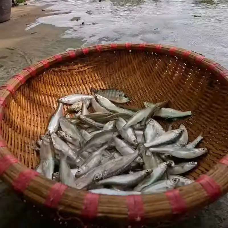 Bước 1 - Hình 1
