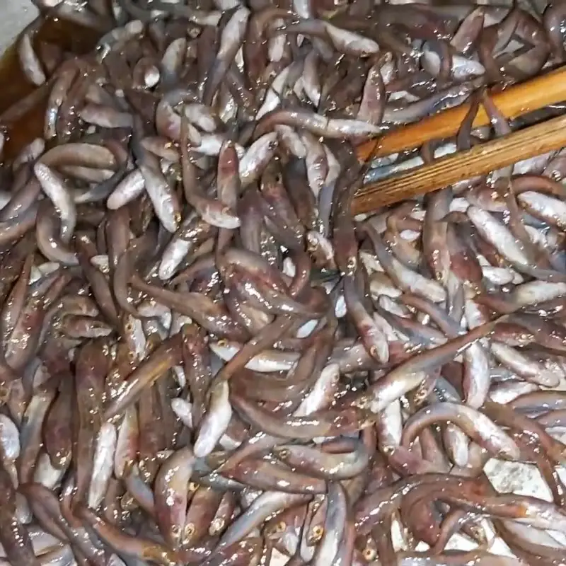 Bước 1 - Hình 2