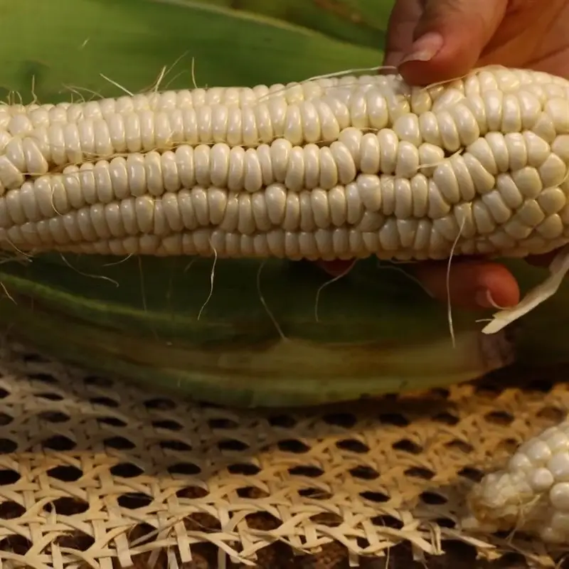 Bước 2 - Hình 1