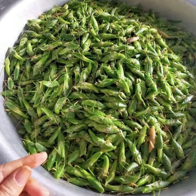 Bước 1 - Hình 1