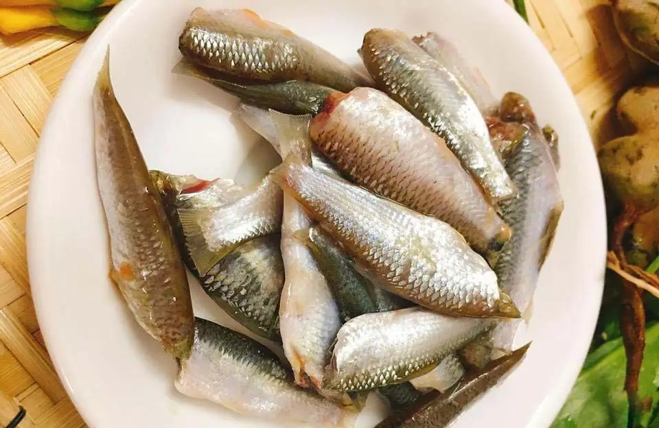 Bước 1 - Hình 1