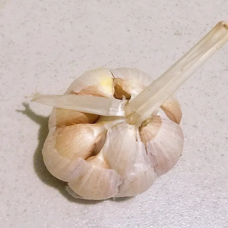 Bước 1 - Hình 3