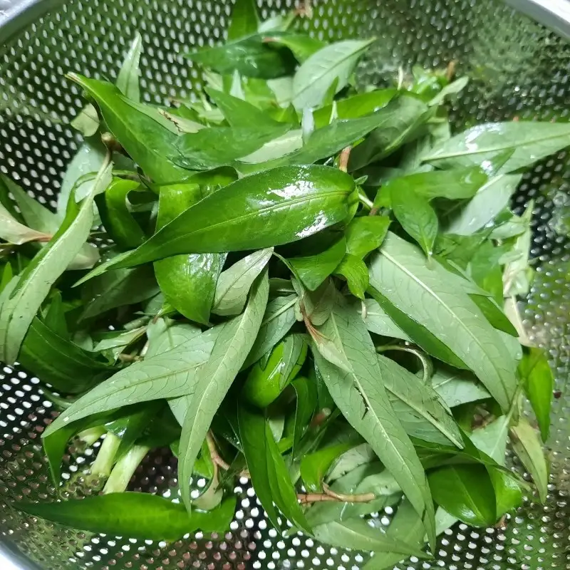 Bước 2 - Hình 1