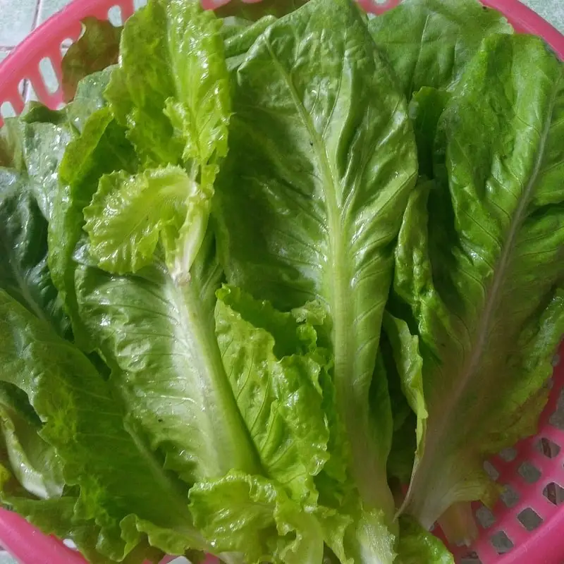 Bước 2 - Hình 4
