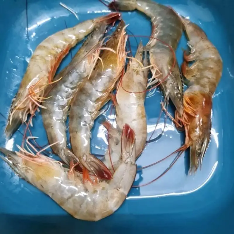 Bước 1 - Hình 1