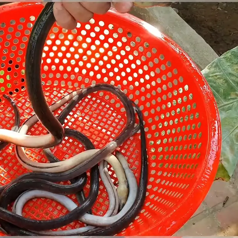 Bước 1 - Hình 1