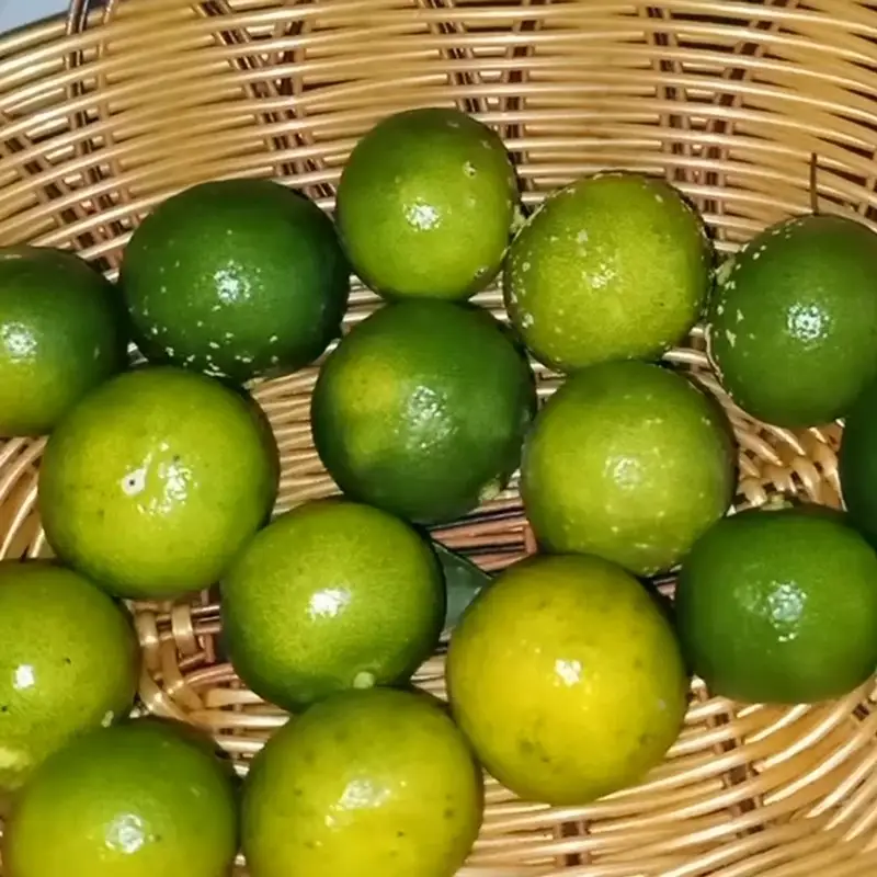 Bước 1 - Hình 1