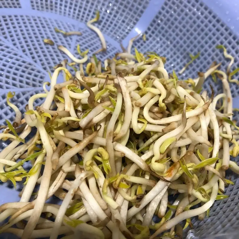 Bước 1 - Hình 3